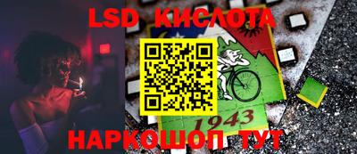 шишки Новодвинск
