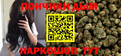 шишки Новодвинск