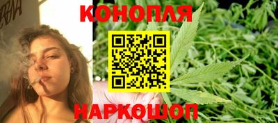 шишки Новодвинск