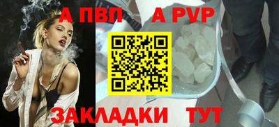 шишки Новодвинск